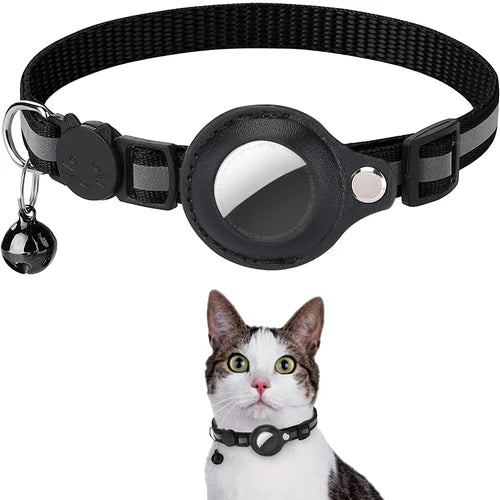 Top 10 Must-Have Pet Accessories Every Pet Owner Needs