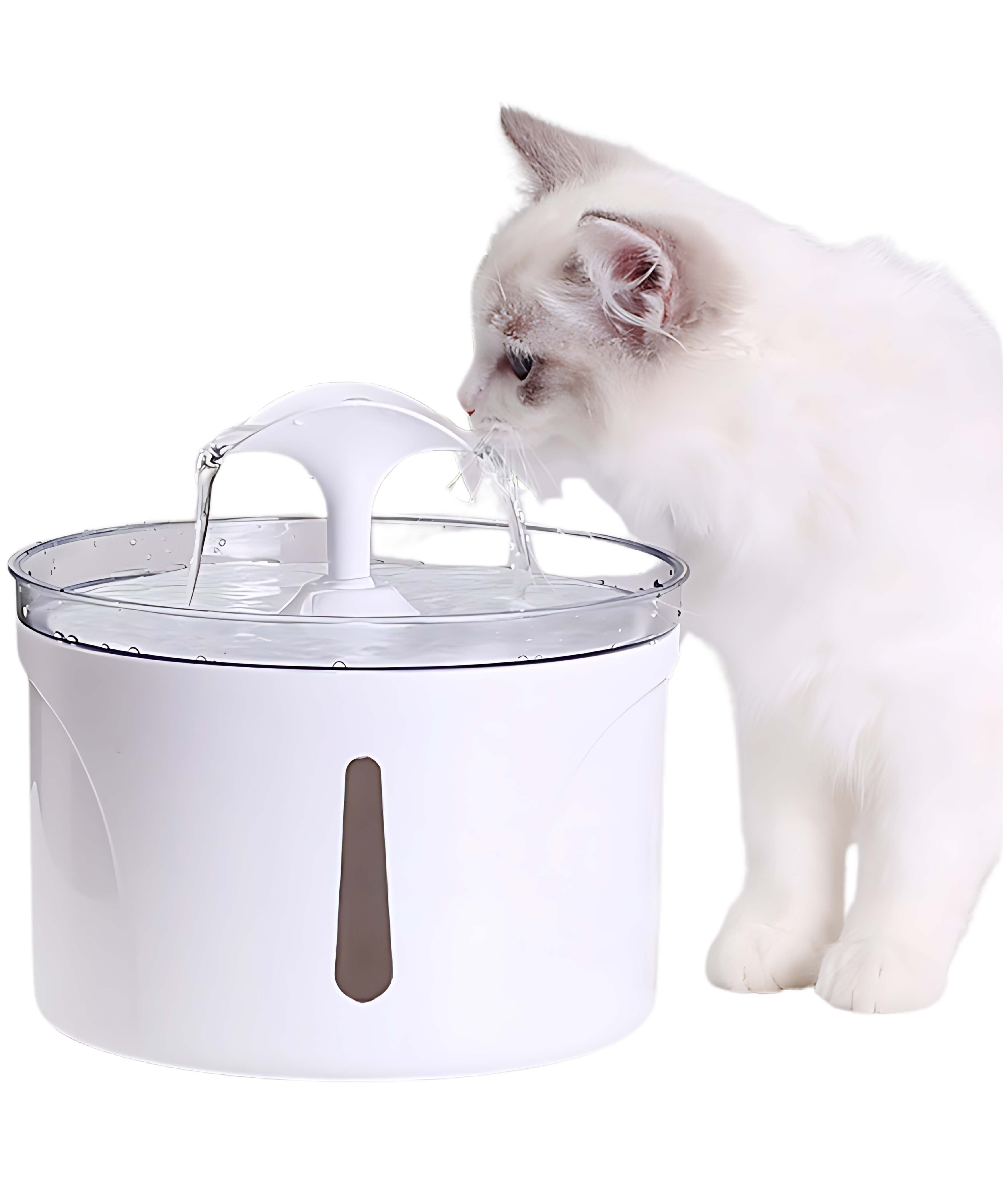 Smart Pet Water Dispenser – Fresh, Filtered Water for Healthy Pets