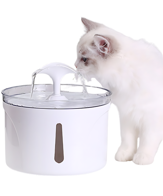 Smart Pet Water Dispenser – Fresh, Filtered Water for Healthy Pets