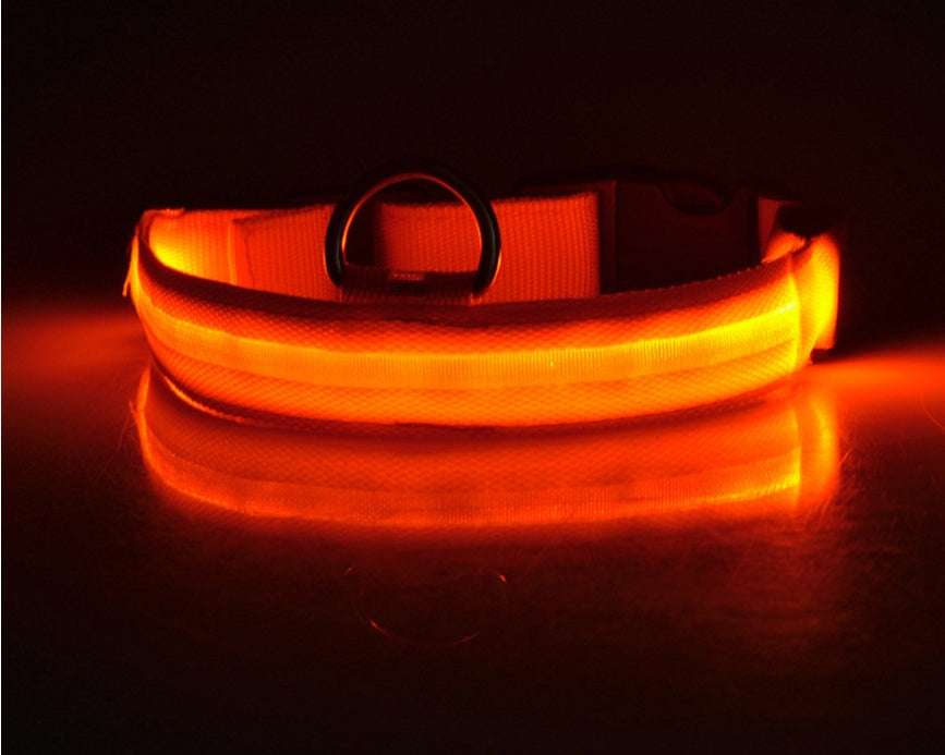 Nylon LED Pet Dog Luminous Collar Night Safety Flashing Glow in Dark