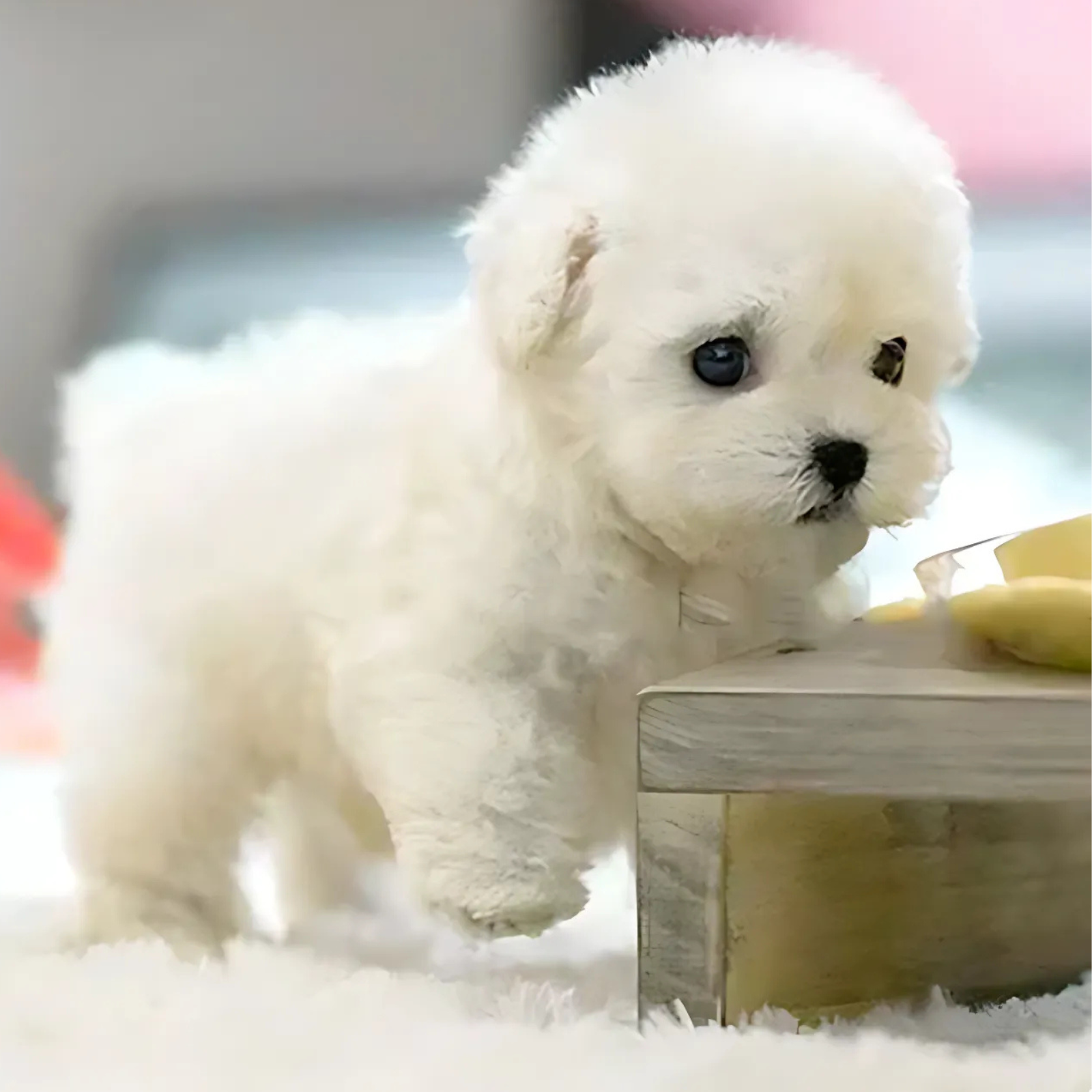 Realistic Robot Puppy (AI-Powered Lifelike Puppy) 🎉 limited time offer 🔥