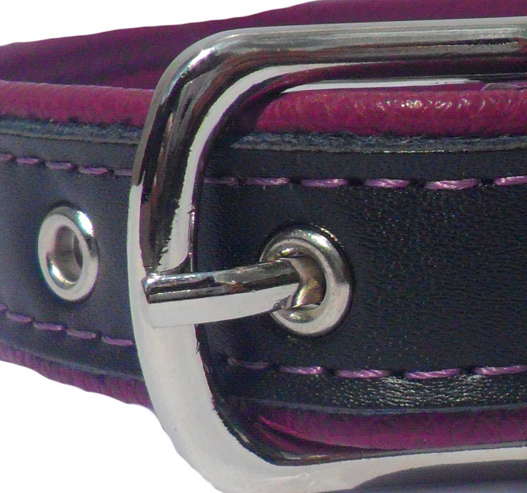 Stylish Berry Dog Collar