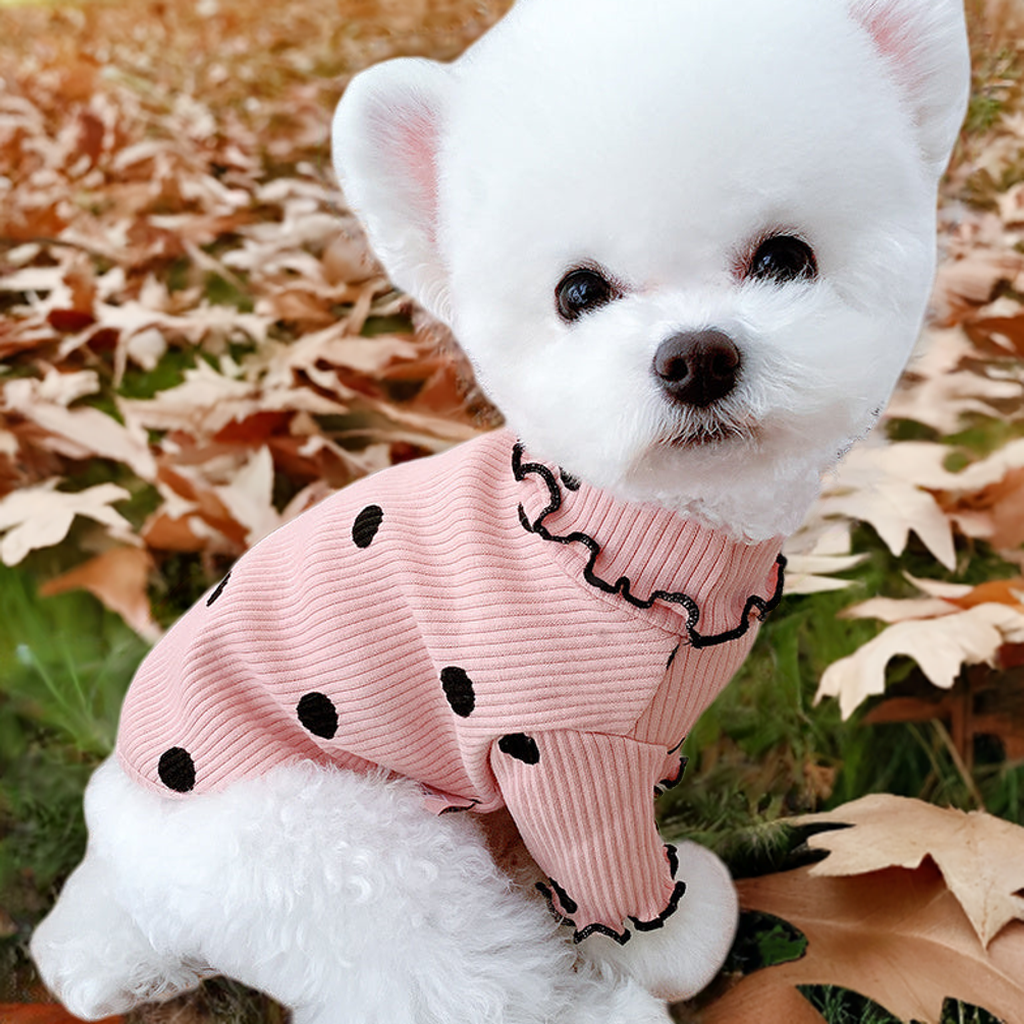 Soft & Stylish Dot Turtleneck Dog Shirt – Cozy Bottoming Layer for Small to Medium Dogs